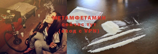 шишки Заволжье
