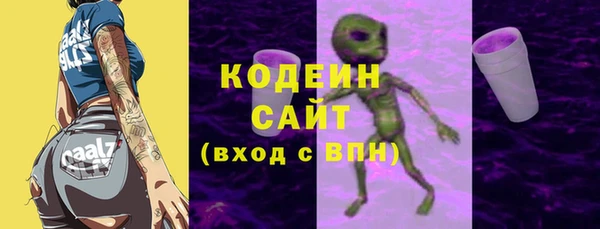 шишки Заволжье