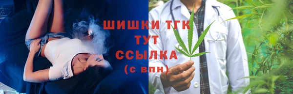 молекула духа Заводоуковск