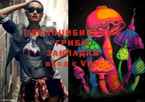 шишки Заволжье