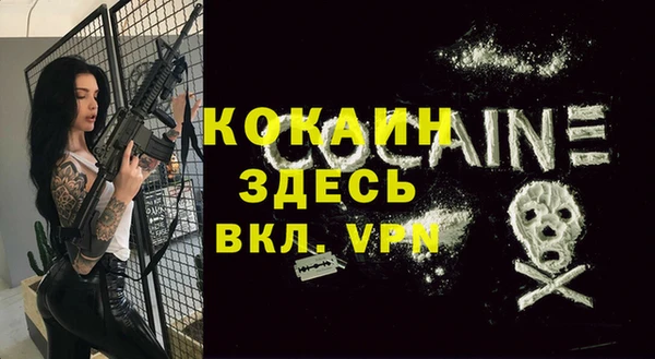 молекула духа Заводоуковск