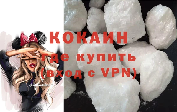 шишки Заволжье