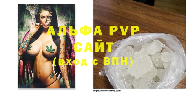 шишки Заволжье