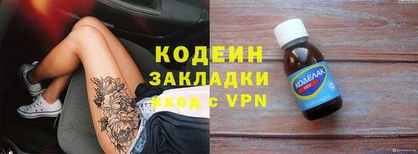 шишки Заволжье