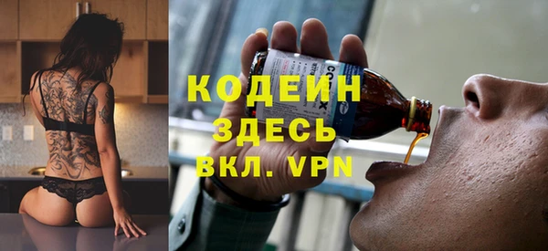 шишки Заволжье