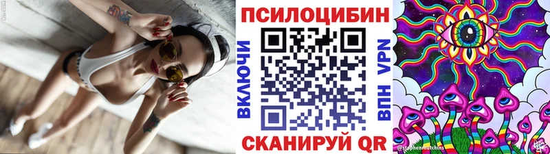 цены   kraken рабочий сайт  Галлюциногенные грибы мицелий  Камызяк 